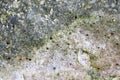 A close up of white, green and grey porous rock