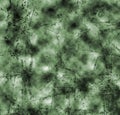 Grungy greenish background Royalty Free Stock Photo