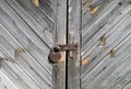 Grungy grey color wooden door with lock Royalty Free Stock Photo