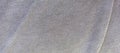 Grungy Grey Texture Background of Seamless Empty Cloth, Close Up Top View
