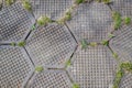 Grungy Hexagonal Tiled Seamless TGarden walkway made of hexagonal plates. Grass breaks through the slabs. Backgroundexture