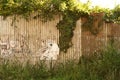 Grungy Metal Wall in Africa