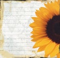 Grungy note paper with sunflower