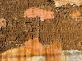 Grungy old deteriorating brick and adobe wall texture background Royalty Free Stock Photo