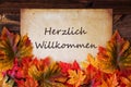 Grungy Old Paper, Colorful Leaves, Willkommen Means Welcome