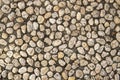 Grungy photo texture of pebble paving, top view background. White pebbles in grey sand top view Royalty Free Stock Photo
