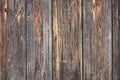 Grungy real spruce wood texture