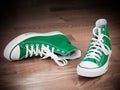 Grungy retro green sneakers Royalty Free Stock Photo