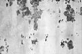 Grungy rusted metal wall surface in black and white Royalty Free Stock Photo