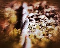 Grungy shot of pair of steel cables lying outside on the ground