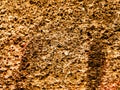 Grungy wall Sandstone surface background Royalty Free Stock Photo