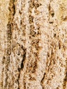 Grungy wall Sandstone surface background