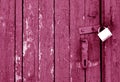 Grungy wooden door with lock in pink tone Royalty Free Stock Photo