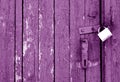 Grungy wooden door with lock in purple tone Royalty Free Stock Photo