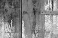 Grungy wooden planks background in black and white Royalty Free Stock Photo