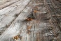 Grungy wooden textured background