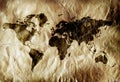 Grungy world map Royalty Free Stock Photo