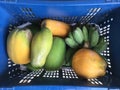 gruop of tropical papaya and banana in basket