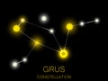 Grus constellation. Bright yellow stars in the night sky. A cluster of stars in deep space, the universe. Vector illustration Royalty Free Stock Photo