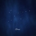 Grus constellation, Cluster of stars, Crane constellation Royalty Free Stock Photo