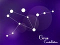 Grus constellation. Starry night sky. Cluster of stars, galaxy. Deep space. Vector illustration Royalty Free Stock Photo