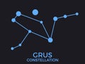 Grus constellation. Stars in the night sky. Cluster of stars and galaxies. Constellation of blue on a black background. Vector Royalty Free Stock Photo