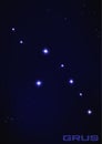 Grus constellation Royalty Free Stock Photo