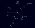 Grus constellation, vector illustration with the names of basic stars