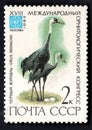 Grus Monacha. Birds on post stamp isolated on blac Royalty Free Stock Photo