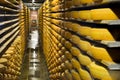 Gruyeres, Switzerland - July 27, 2019: Cheese wheels maturing in the cellar storage of the famous Swiss cheese factory La Maison Royalty Free Stock Photo