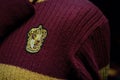 Gryffindor sweater Royalty Free Stock Photo