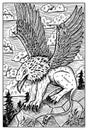 Gryphon. Engraved fantasy illustration