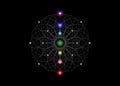 Seed of life symbol Sacred Geometry. Esoteric Flower of Life and colorful Seven chakras. Geometric mystic alchemy mandala sign