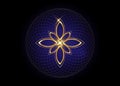 Seed of life symbol Sacred Geometry. Geometric mystic mandala of alchemy esoteric Flower of Life. Gold design overlapping circles