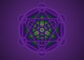 Alchemy occult sign, Metatrons Cube, Flower of Life. Sacred geometry, graphic element magic hexagram. Vector Mystic icon platonic