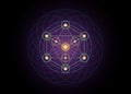 Alchemy occult sign, Metatrons Cube, Flower of Life. Sacred geometry, graphic element magic hexagram. Vector Mystic icon platonic