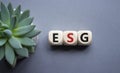 GSG - Environmental, Social and Governance symbol. Concept word GSG on wooden cubes. Beautiful grey background with succulent