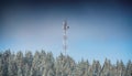 GSM communication internet antenna on top of a hill surrounded by forest in winter landscape Royalty Free Stock Photo
