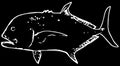 GT giant trevally fish predator on black background Royalty Free Stock Photo