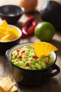 Guacamole with avocado, lime, chili and tortilla chips Royalty Free Stock Photo