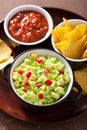 Guacamole with avocado, lime, chili and tortilla chips Royalty Free Stock Photo