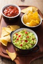 Guacamole with avocado, lime, chili and tortilla chips, salsa Royalty Free Stock Photo