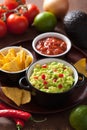 Guacamole with avocado, lime, chili and tortilla chips, salsa Royalty Free Stock Photo