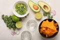 Guacamole, corn chips and beer, light Mexican snack or dinner, , top view