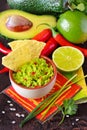 Guacamole dip. Royalty Free Stock Photo