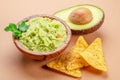 Guacamole, guacamole ingredients and chips isolated