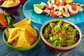 Guacamole mexican food with ceviche and nachos Royalty Free Stock Photo