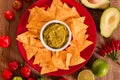 Guacamole and nacho chips. Royalty Free Stock Photo