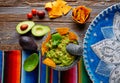 Guacamole with nachos in Mexican molcajete Royalty Free Stock Photo