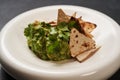 Guacamole with pita chips on white plate. Chef`s signature dish Royalty Free Stock Photo